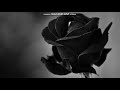Black Flowers Wallpaper as My Slideshow Music yay