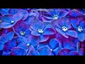 Blue Flowers Wallpaper as My Slideshow Music yay