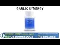 Cari Agen Jual Garlic Synergy di indonesia